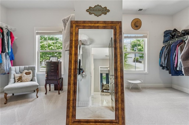 walk in closet featuring carpet