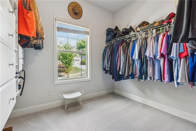 walk in closet featuring carpet floors