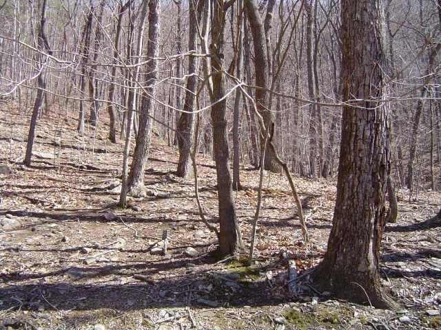 1544 Moss Patch Trl, Jasper GA, 30143 land for sale