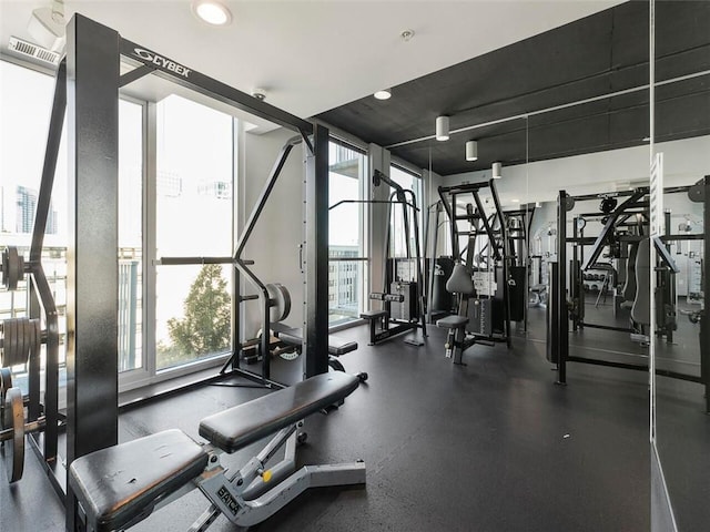 exercise room featuring a wall of windows