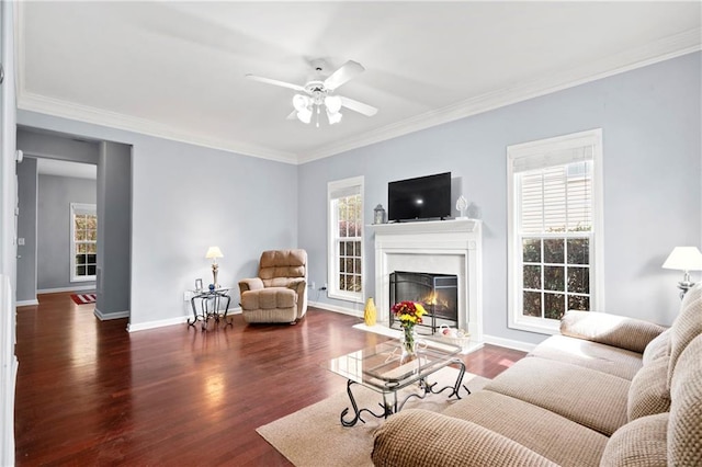 living room featuring dark wood-type flooring, crown molding, and ceiling fan