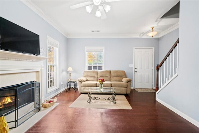 living room featuring ceiling fan, ornamental molding, and dark hardwood / wood-style flooring