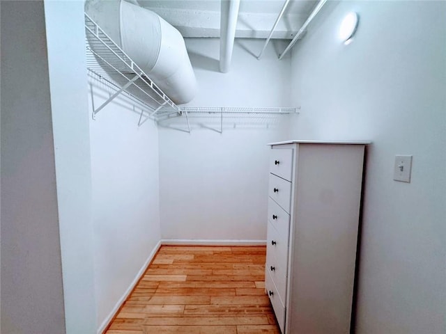 spacious closet featuring light hardwood / wood-style floors