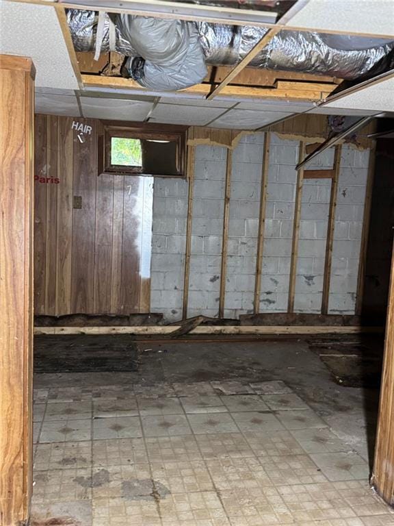 basement with wood walls