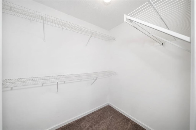 spacious closet with dark carpet