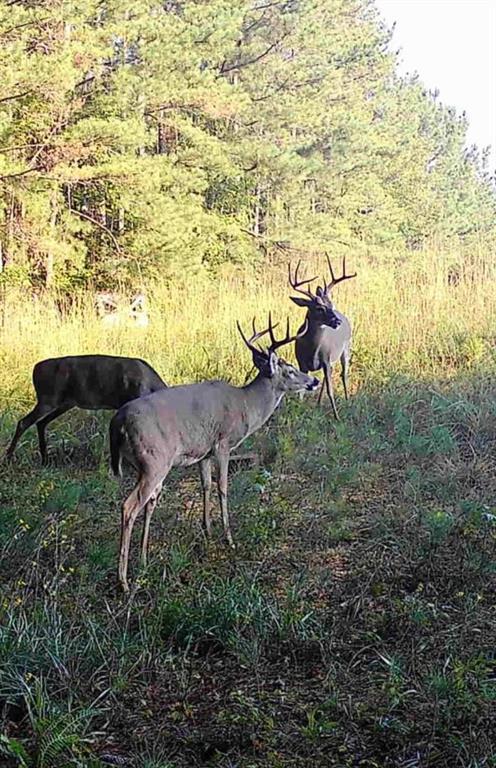 0 Pool Mill Rd, Douglasville, GA 30135