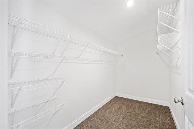 walk in closet featuring dark carpet