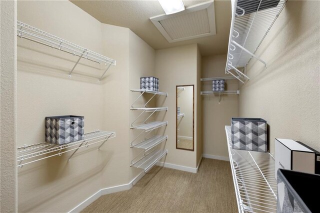 216 Crescent Moon Way, Canton, GA 30114 - walk in closet with carpet