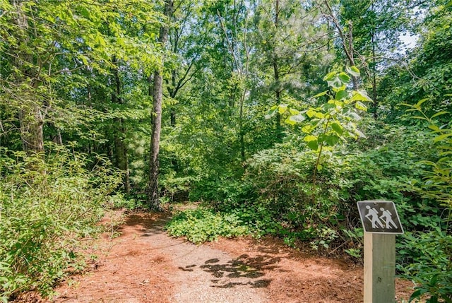 216 Crescent Moon Way, Canton, GA 30114 - view of nature featuring a view of trees