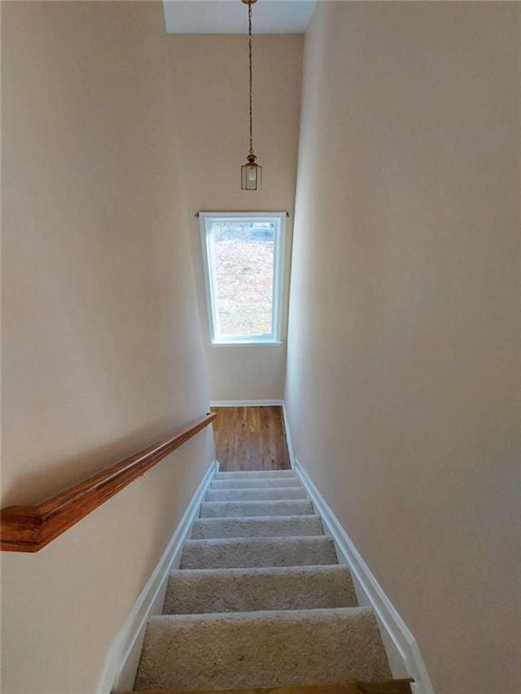 stairs featuring hardwood / wood-style floors