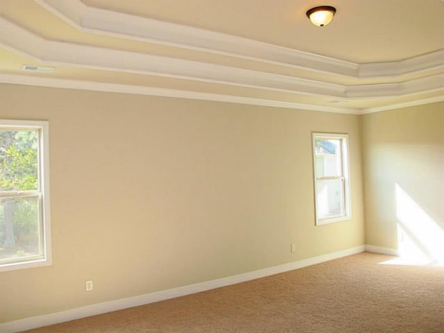 spare room featuring a tray ceiling, carpet flooring, ornamental molding, healthy amount of natural light, and baseboards