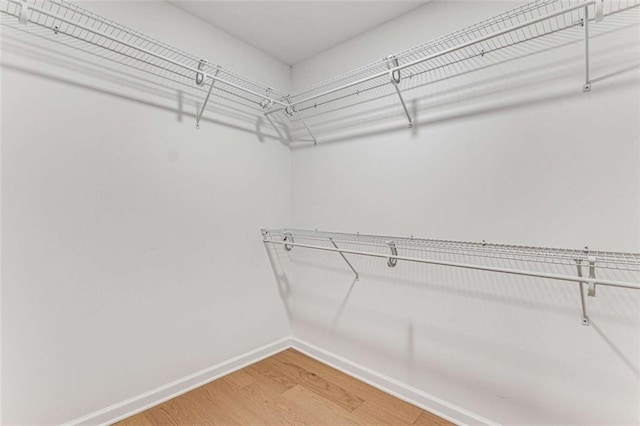 spacious closet with light wood-style flooring