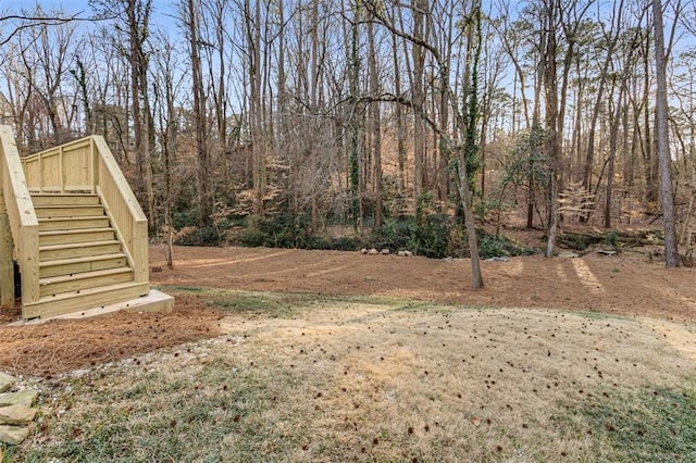 view of yard with stairway