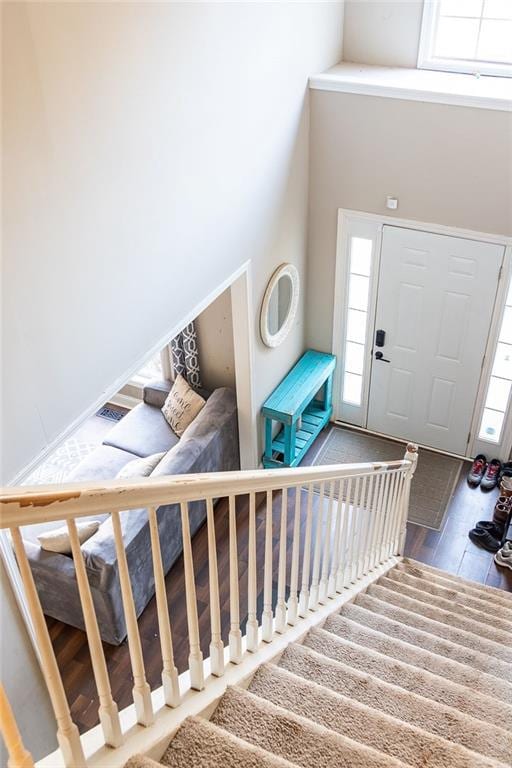 entrance foyer featuring hardwood / wood-style flooring, a towering ceiling, and a wealth of natural light