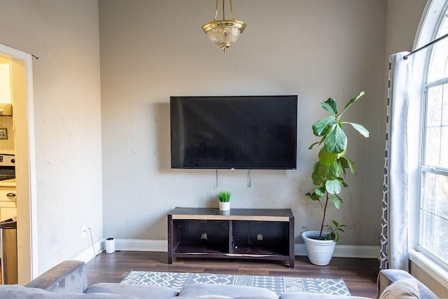 living room with dark wood-type flooring