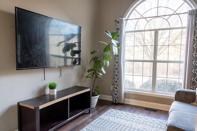 living area with dark hardwood / wood-style flooring