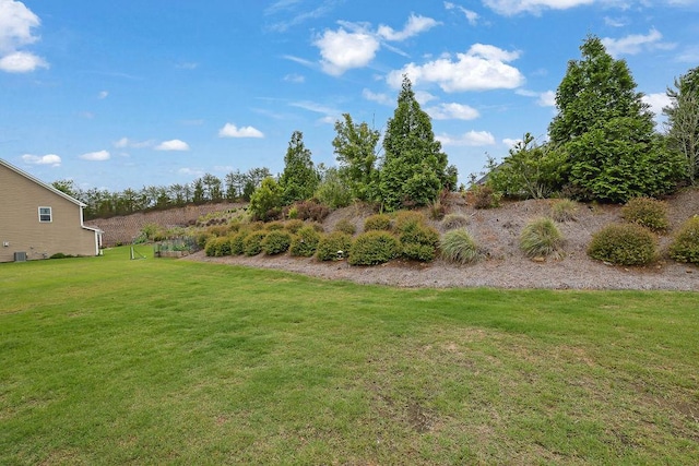 7190 Tributary Ct, Cumming, GA 30040 - view of grassy yard