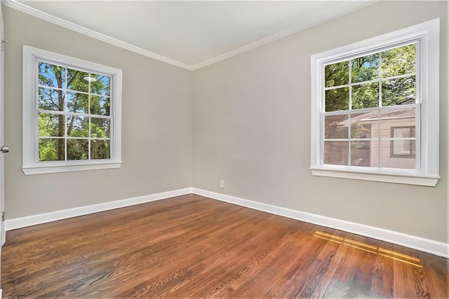 spare room with dark hardwood / wood-style floors, ornamental molding, and plenty of natural light