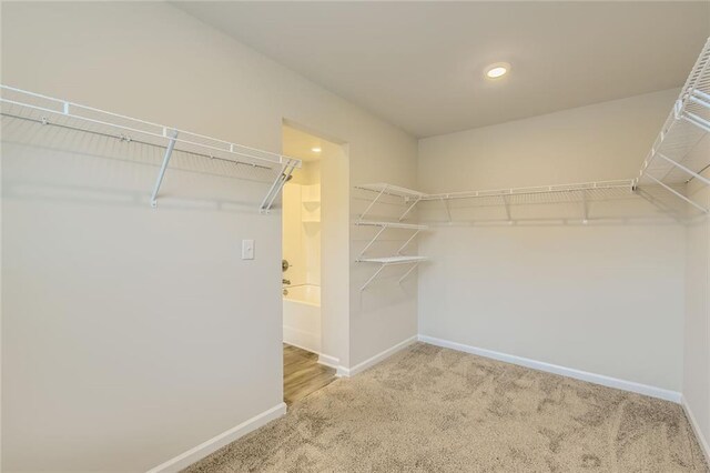 walk in closet with carpet