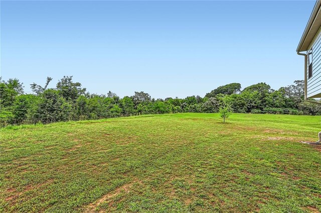 view of yard