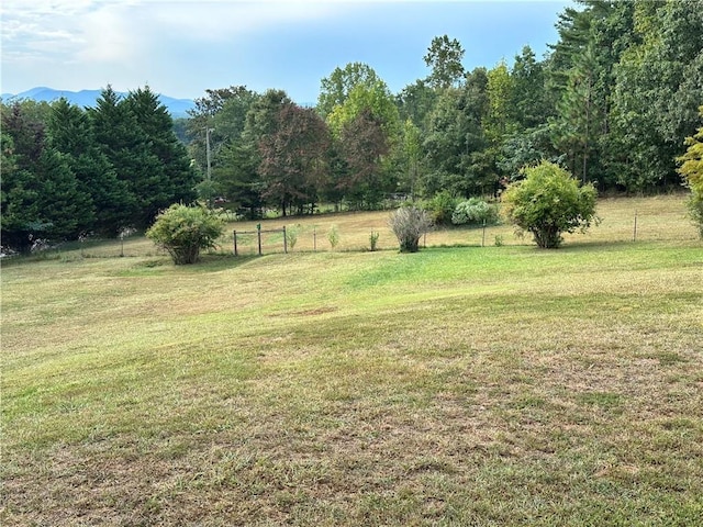 view of yard with a mountain view and a rural view