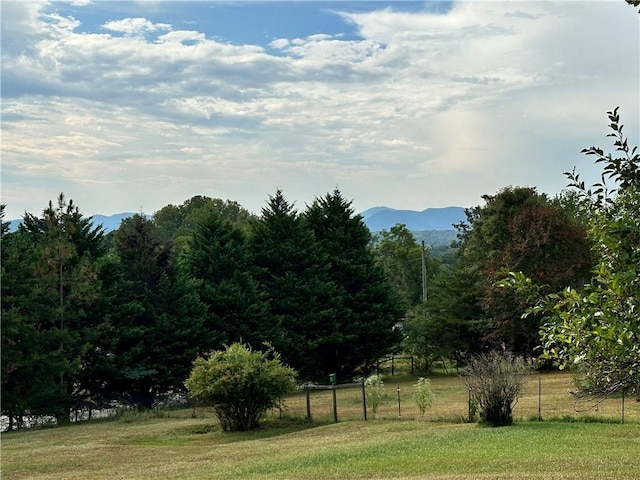 view of yard featuring a mountain view and a rural view