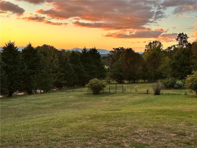 view of yard at dusk