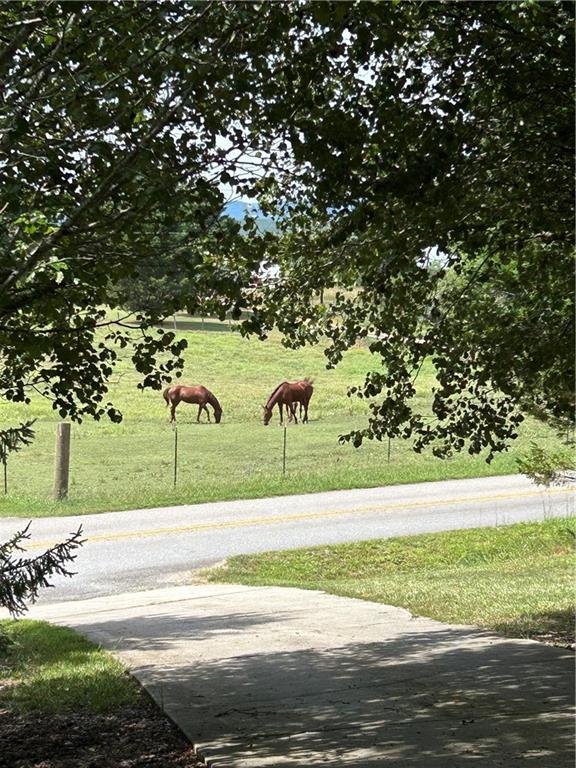 view of home's community with a yard