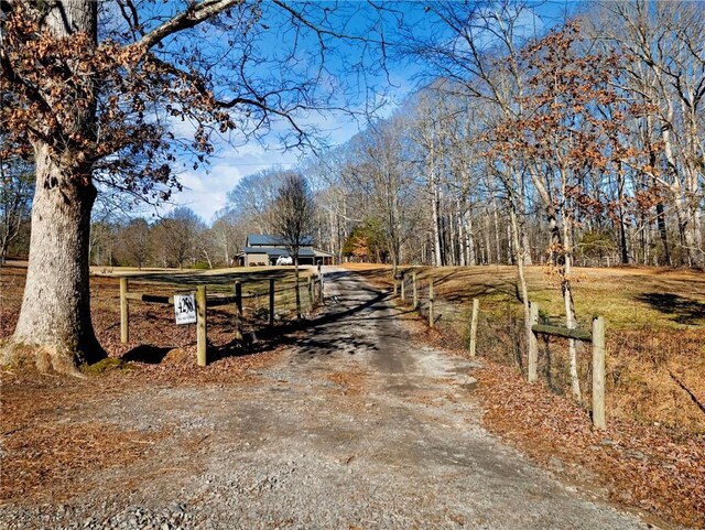 view of road with driveway and a gated entry