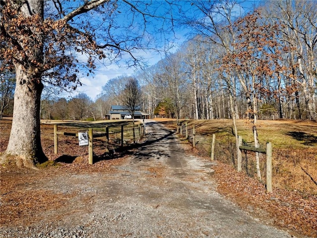 view of street with a gated entry and driveway