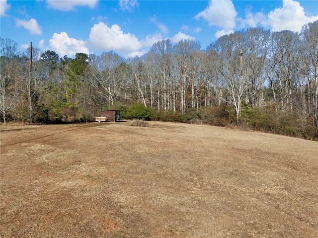 view of yard with a wooded view