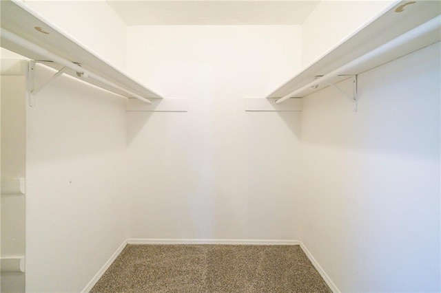 1129 Winston Dr, Decatur, GA 30032 - spacious closet with carpet