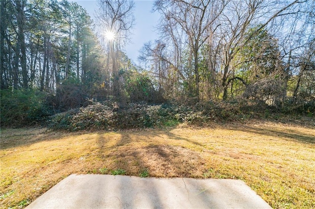 1129 Winston Dr, Decatur, GA 30032 - view of yard