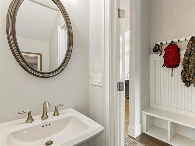 bathroom with sink