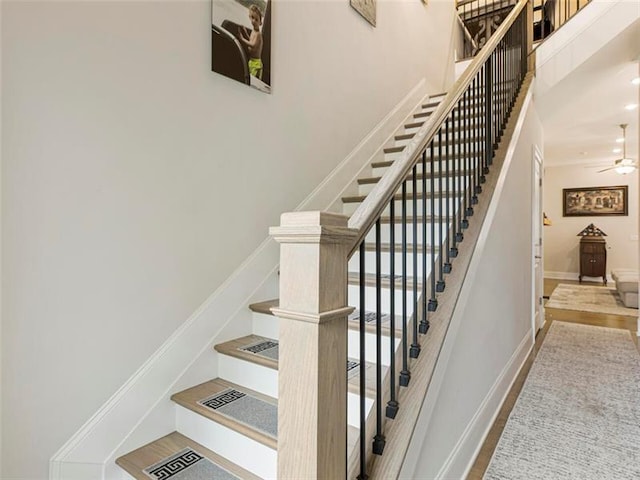 staircase featuring ceiling fan and hardwood / wood-style flooring