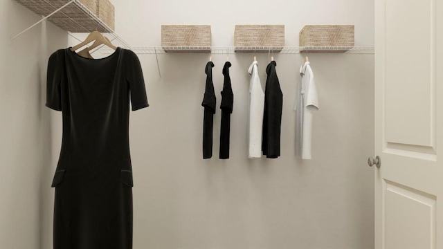 2447 Livi Ln, Buford, GA 30519 - view of spacious closet
