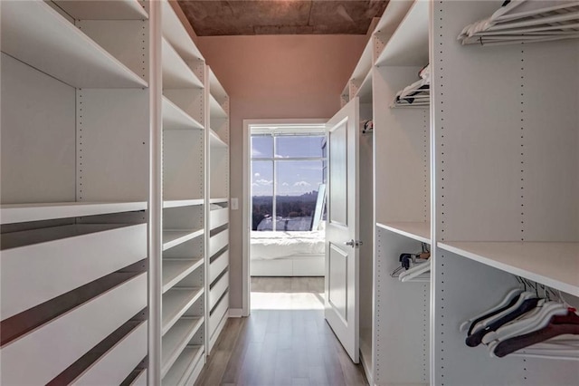 spacious closet with wood finished floors