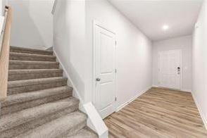 staircase featuring wood-type flooring