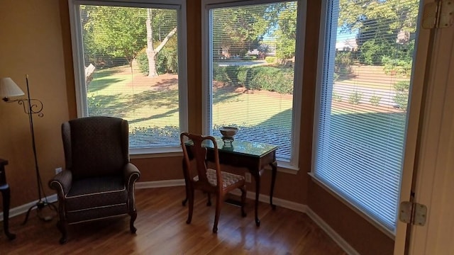 interior space featuring hardwood / wood-style floors