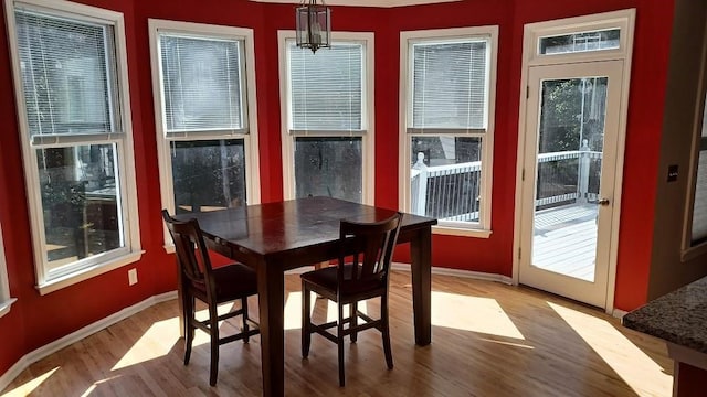 dining room featuring hardwood / wood-style flooring