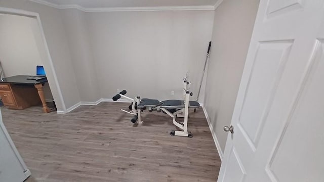 exercise area featuring crown molding and light hardwood / wood-style flooring