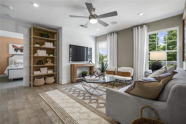 living room featuring ceiling fan and wood-type flooring