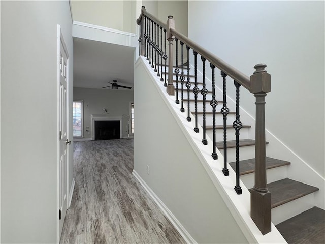 staircase with ceiling fan and hardwood / wood-style flooring