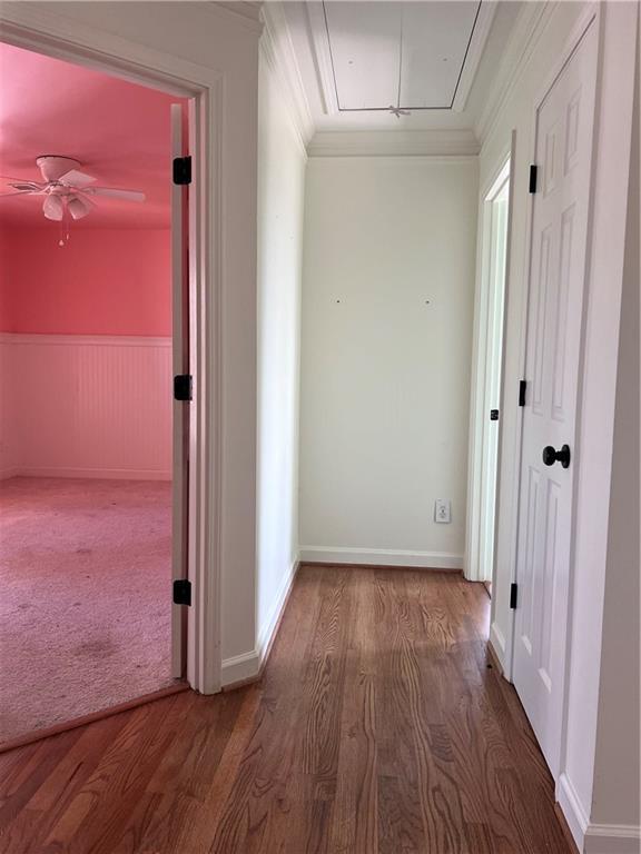 corridor featuring crown molding and hardwood / wood-style floors