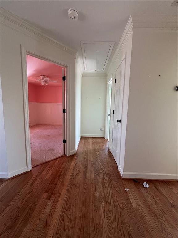 corridor featuring hardwood / wood-style flooring and crown molding