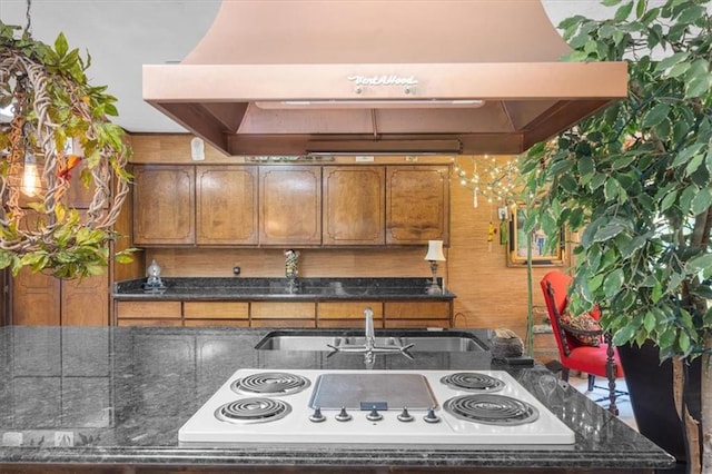 kitchen featuring white electric stovetop, sink, and extractor fan