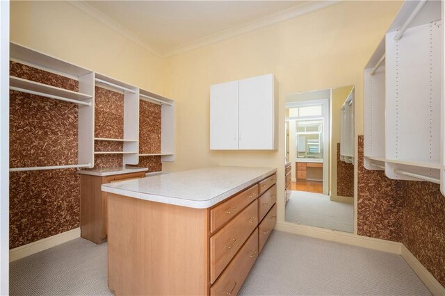 1006 Arbor Trce NE, Atlanta, GA 30319 - walk in closet featuring light carpet