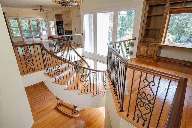 1006 Arbor Trce NE, Atlanta, GA 30319 - stairs with wood finished floors, a chandelier, and ceiling fan