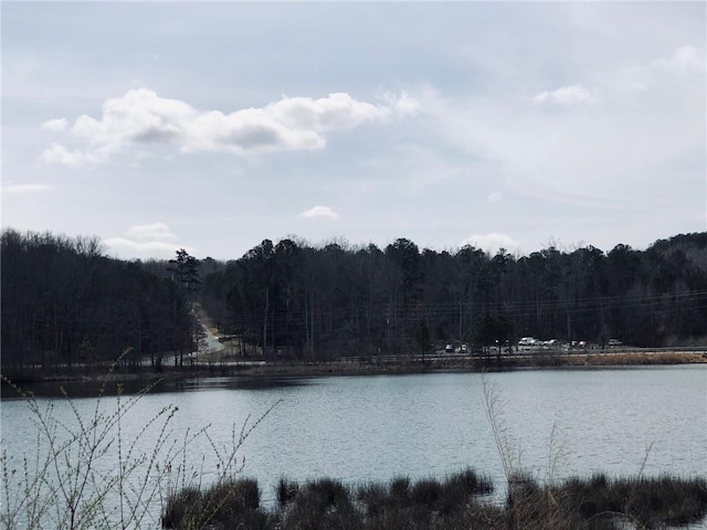 property view of water featuring a view of trees