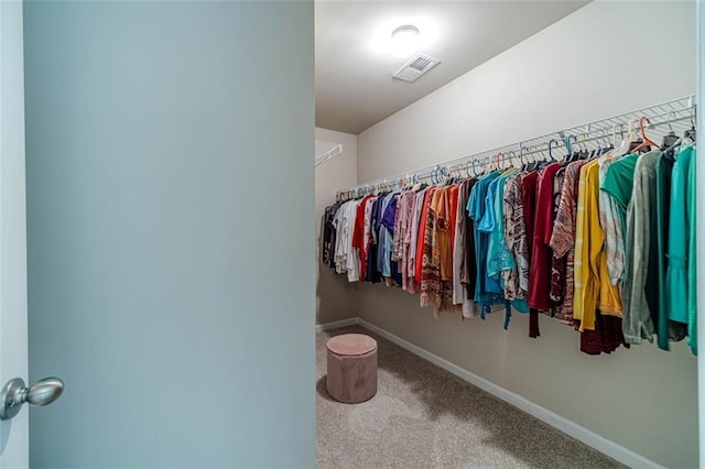 spacious closet featuring carpet flooring